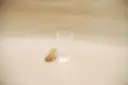 Säilituspurk kaanega Ø6,3cm H12,8cm