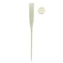 Ampull 'Oasis' varrega 15cm 
