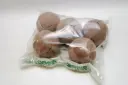 Oasis pall kuiv 9cm 