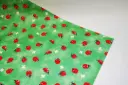 Kinkepaber lepatriinudega 70cm*25m