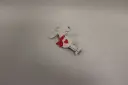 Klamber põhjapõdraga