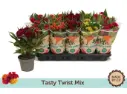 Mätashari Twisted mix Ø12cm