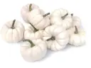 Dekoratiivkõrvits Baby Boo