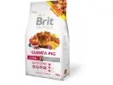 Brit Animals Guinea Pig täissööt merisigadele 0,3kg