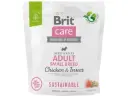 Brit Care Sustainable Adult Small Breed Chicken & Insect koeratoit 1kg