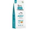 Brit Care Grain Free Adult Salmon koeratoit 12kg