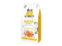 Brit Care Grain Free Haircare Healthy & Shiny kassitoit 2kg