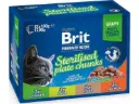 Brit Premium Sterilised Family multipakk märgtoit kassidele 12x100g