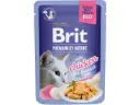 Brit Premium Delicate Chicken Fillets in Jelly märgtoit kassidele 85g