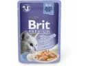 Brit Premium Salmon Fillets in Jelly märgtoit kassidele 85g