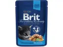 Brit Premium Chicken Chunks in Gravy märgtoit kassipoegadele 100g