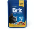 Brit Premium Salmon & Trout märgtoit kassidele 100g