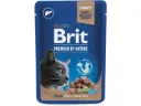 Brit Premium Liver märgtoit steriliseeritud kassidele 100g