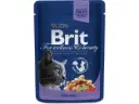 Brit Premium Cod Fish märgtoit kassidele 100g