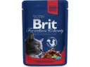 Brit Premium Beef Stew & Peas märgtoit kassidele 100g