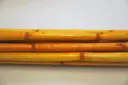 Canna oksad kollane 100cm