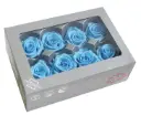 DC Pres.Roses Medium  HELESININE