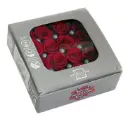 DC Pres.Roses Princessa BORDOO