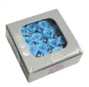 DC Pres.Roses Princessa HELESININE
