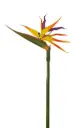 Kunstlill Strelitzia 96cm