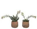 Kunstlill sukulent potis h28cm erinevad