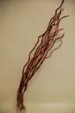 Kuwa 100cm bordoo