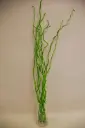 Kuwa 100cm heleroheline
