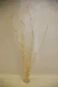 Kuwa 100cm naturaalne