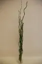 Kuwa 100cm tumeroheline