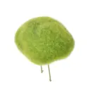 Moss stone traadiga 9*6cm roheline