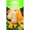 Muskaatkõrvits 'Waltham Butternut' 1g