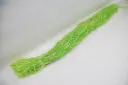 Nancy brushed 150gr roheline