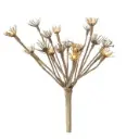 Oks sarikas pruun 10LED 76cm