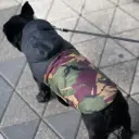 Vihmajakk Black Camo / XL